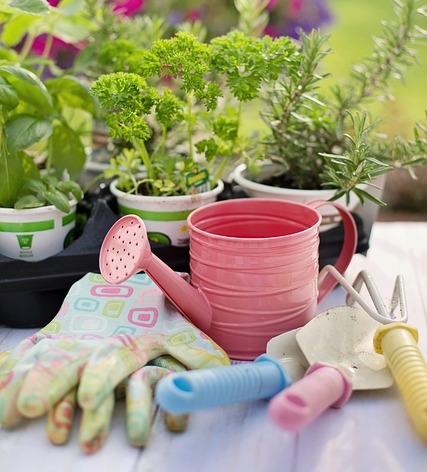 Gardening Starter Kit : Things New Christians Need to Know